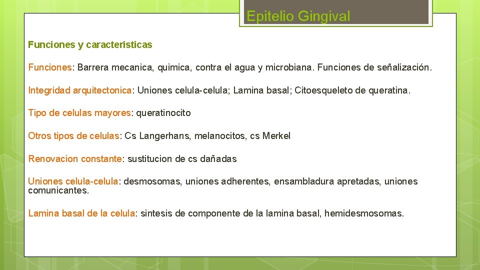 Epitelio Gingival Funciones y caracteristicas Funciones: Barrera mecanica, quimica, contra el agua y microbiana.