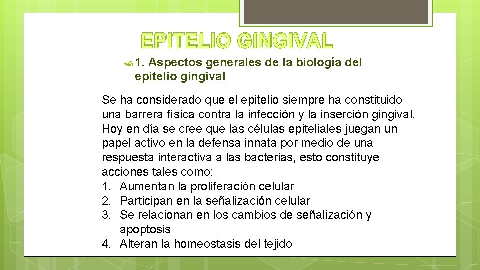 EPITELIO GINGIVAL 1. Aspectos generales de la biología del epitelio gingival Se ha considerado