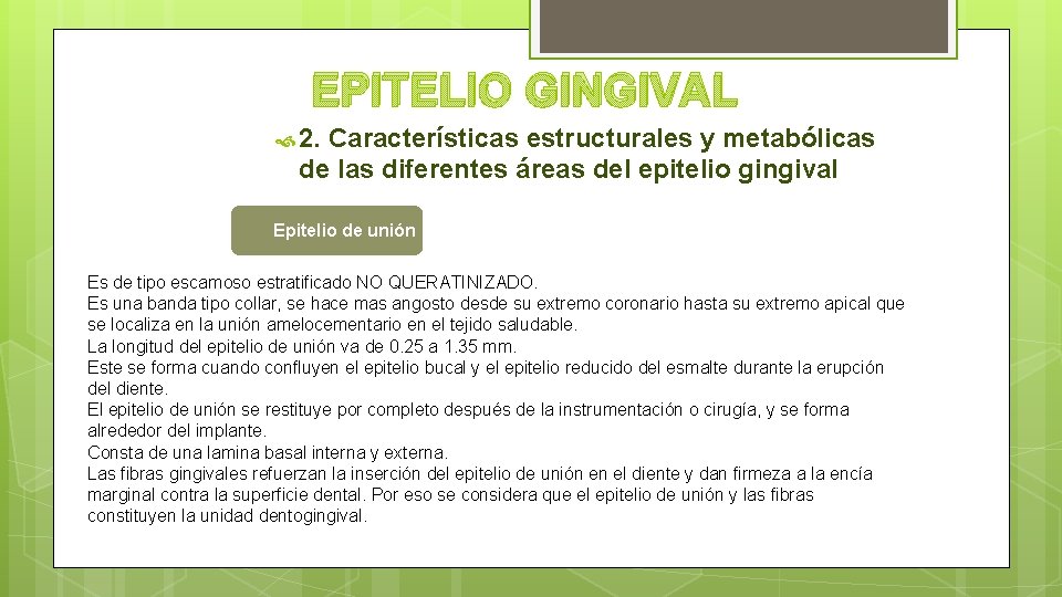 EPITELIO GINGIVAL 2. Características estructurales y metabólicas de las diferentes áreas del epitelio gingival