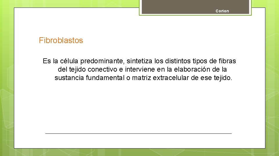 Corion Fibroblastos Es la célula predominante, sintetiza los distintos tipos de fibras del tejido