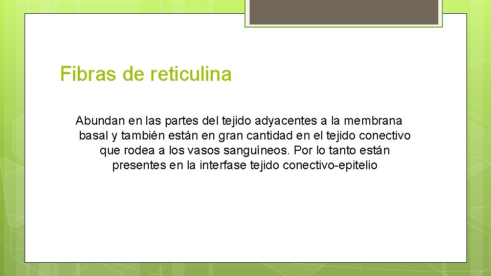 Fibras de reticulina Abundan en las partes del tejido adyacentes a la membrana basal