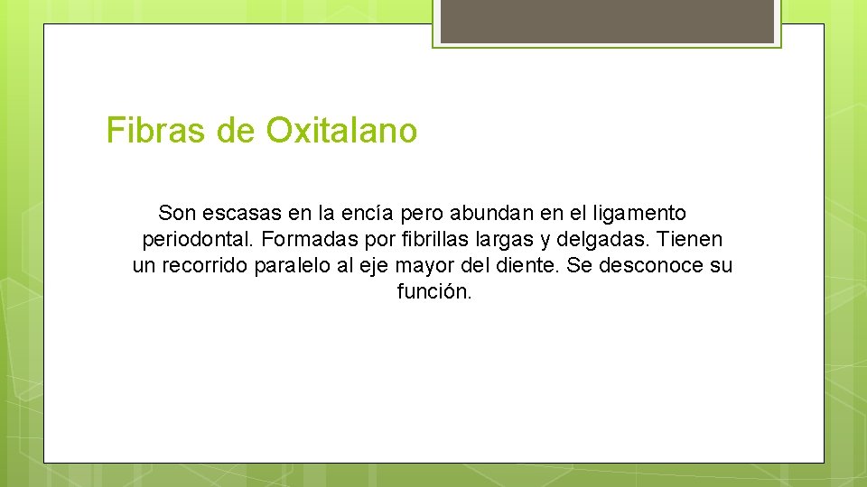 Fibras de Oxitalano Son escasas en la encía pero abundan en el ligamento periodontal.