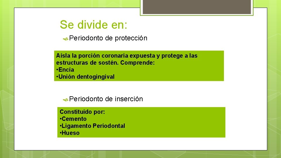 Se divide en: Periodonto de protección Aísla la porción coronaria expuesta y protege a