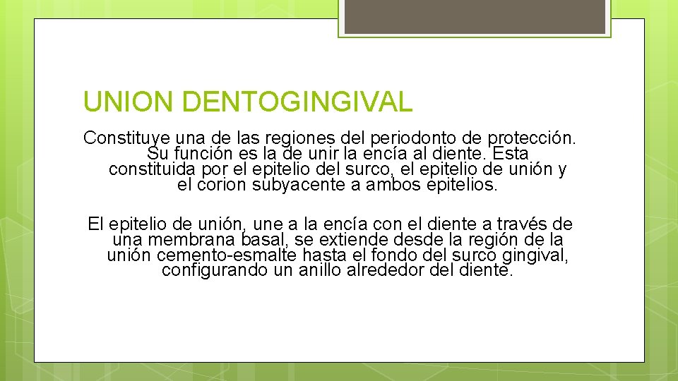 UNION DENTOGINGIVAL Constituye una de las regiones del periodonto de protección. Su función es