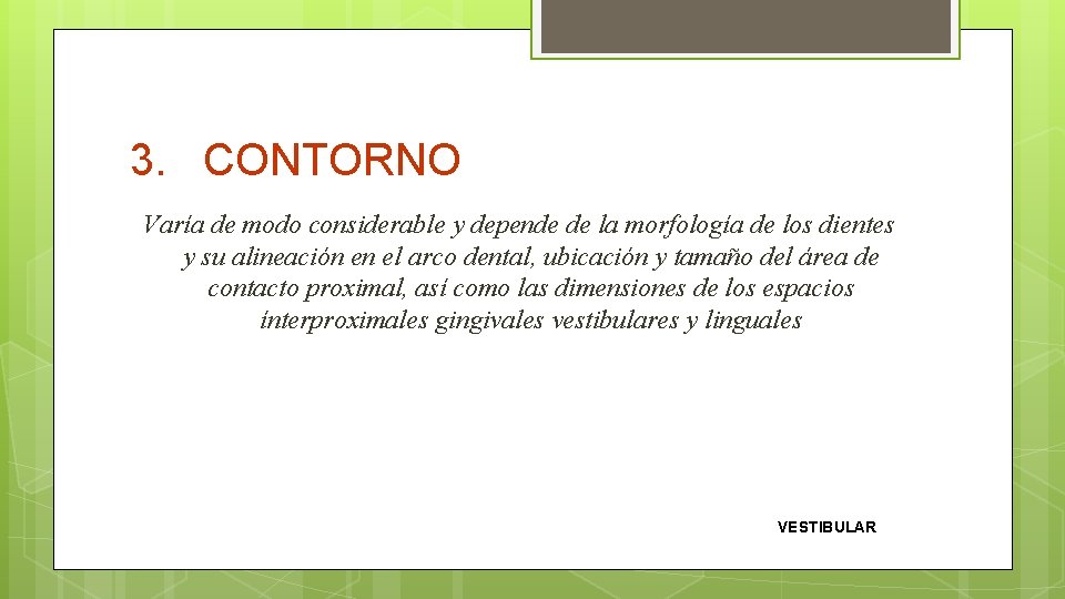 3. CONTORNO Varía de modo considerable y depende de la morfología de los dientes