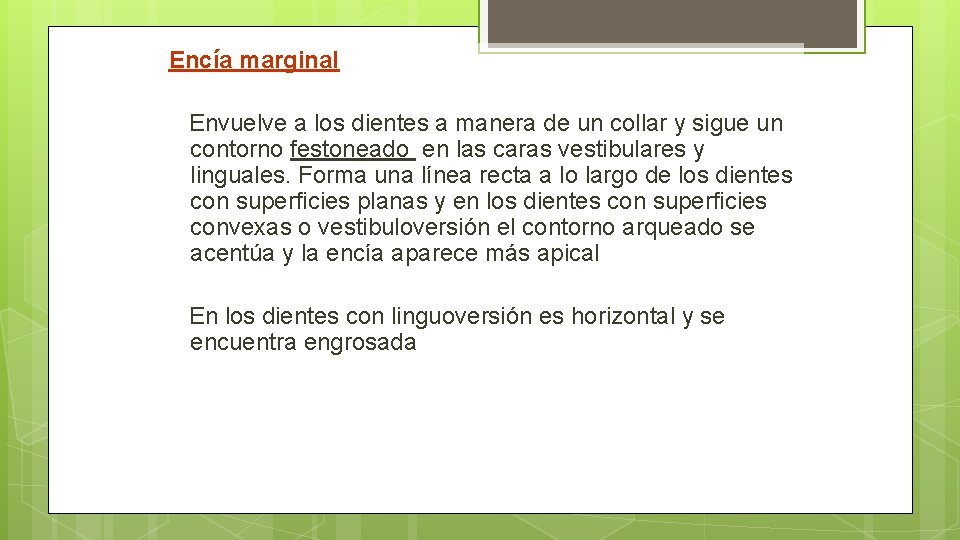 Encía marginal Envuelve a los dientes a manera de un collar y sigue un