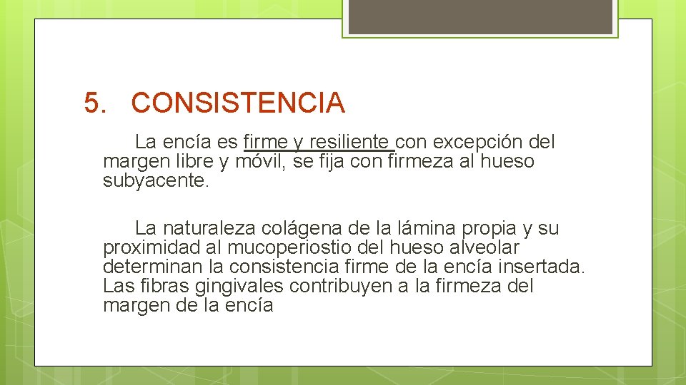 5. CONSISTENCIA La encía es firme y resiliente con excepción del margen libre y