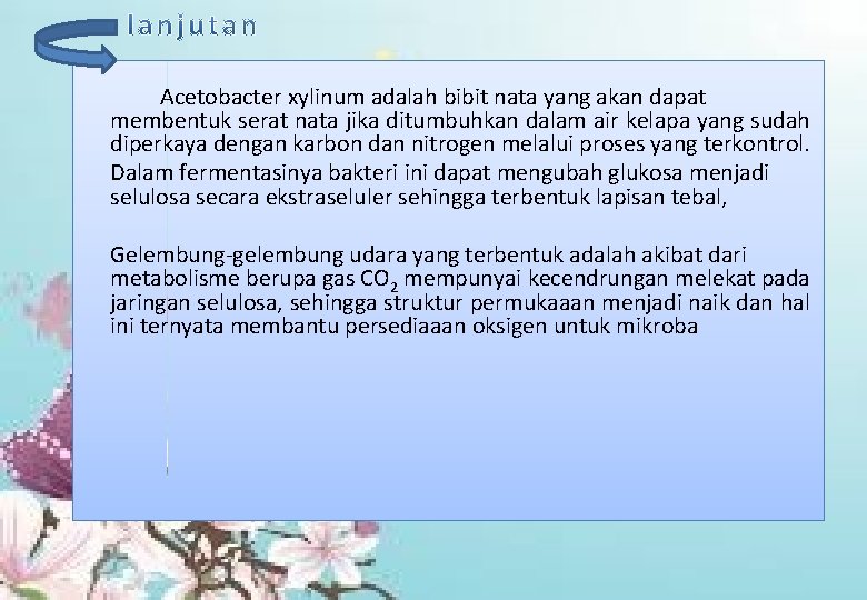 Acetobacter xylinum adalah bibit nata yang akan dapat membentuk serat nata jika ditumbuhkan dalam