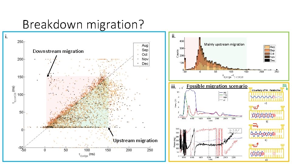 Breakdown migration? ii. Mainly upstream migration Downstream migration iii. Upstream migration Possible migration scenario