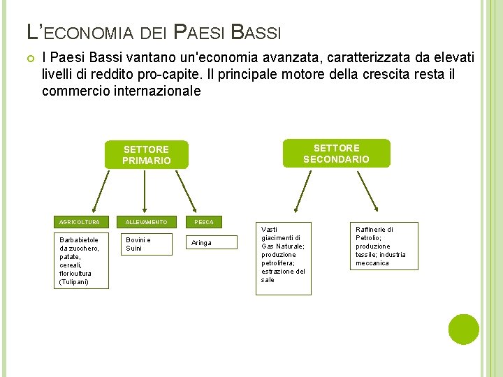 L’ECONOMIA DEI PAESI BASSI I Paesi Bassi vantano un'economia avanzata, caratterizzata da elevati livelli