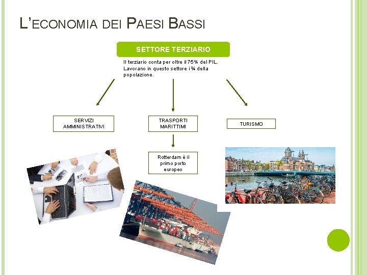 L’ECONOMIA DEI PAESI BASSI SETTORE TERZIARIO Il terziario conta per oltre il 75% del