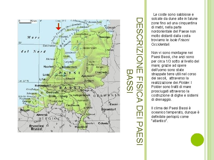 DESCRIZIONE FISICA DEI PAESI BASSI Le coste sono sabbiose e solcate da dune alte