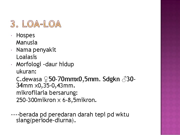  Hospes Manusia Nama penyakit Loaiasis Morfologi –daur hidup ukuran: C. dewasa ♀50 -70