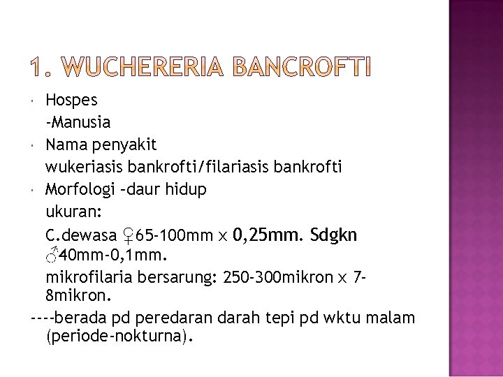 Hospes -Manusia Nama penyakit wukeriasis bankrofti/filariasis bankrofti Morfologi –daur hidup ukuran: C. dewasa ♀65