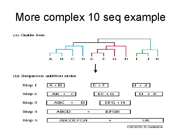 More complex 10 seq example 