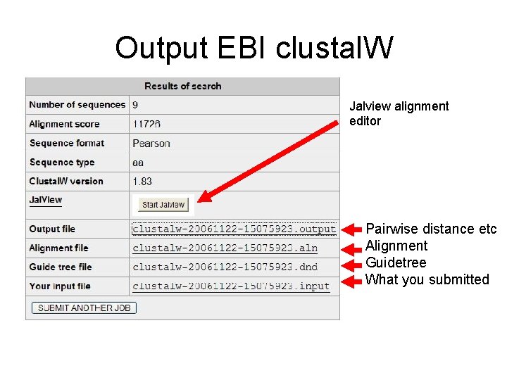 Output EBI clustal. W Jalview alignment editor Pairwise distance etc Alignment Guidetree What you