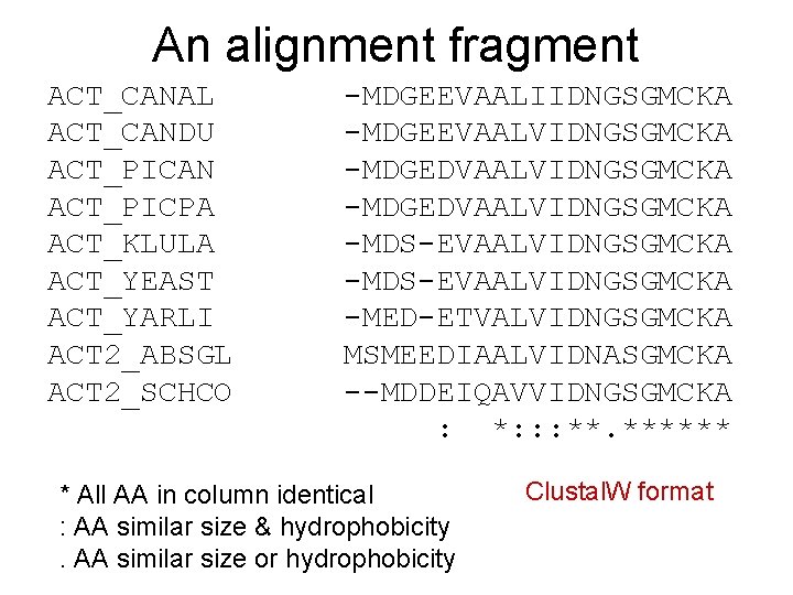 An alignment fragment ACT_CANAL ACT_CANDU ACT_PICAN ACT_PICPA ACT_KLULA ACT_YEAST ACT_YARLI ACT 2_ABSGL ACT 2_SCHCO