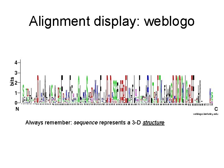 Alignment display: weblogo Always remember: sequence represents a 3 -D structure 