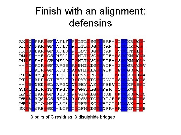Finish with an alignment: defensins 3 pairs of C residues: 3 disulphide bridges 