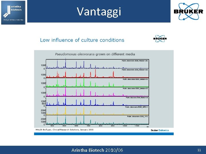 Vantaggi Arintha Biotech 2010/06 11 