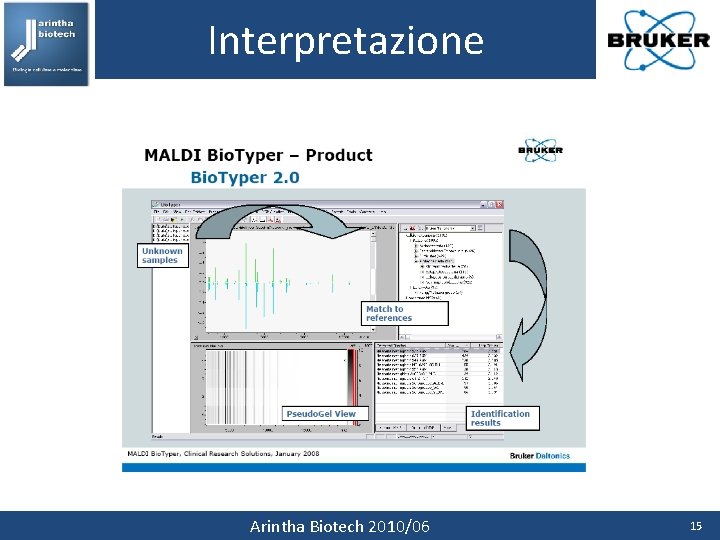 Interpretazione Arintha Biotech 2010/06 15 