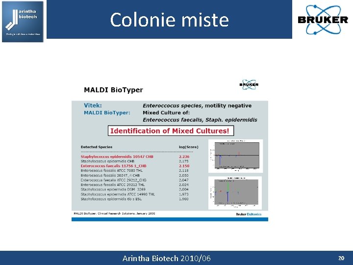 Colonie miste Arintha Biotech 2010/06 20 