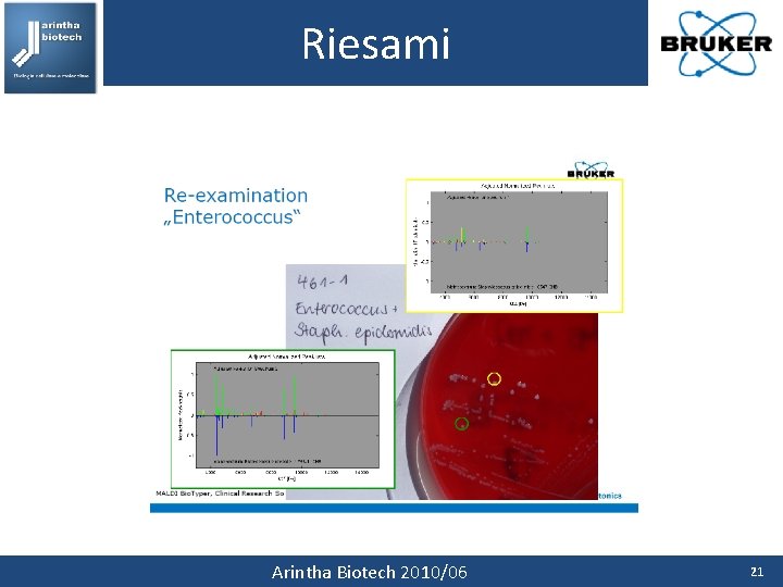 Riesami Arintha Biotech 2010/06 21 