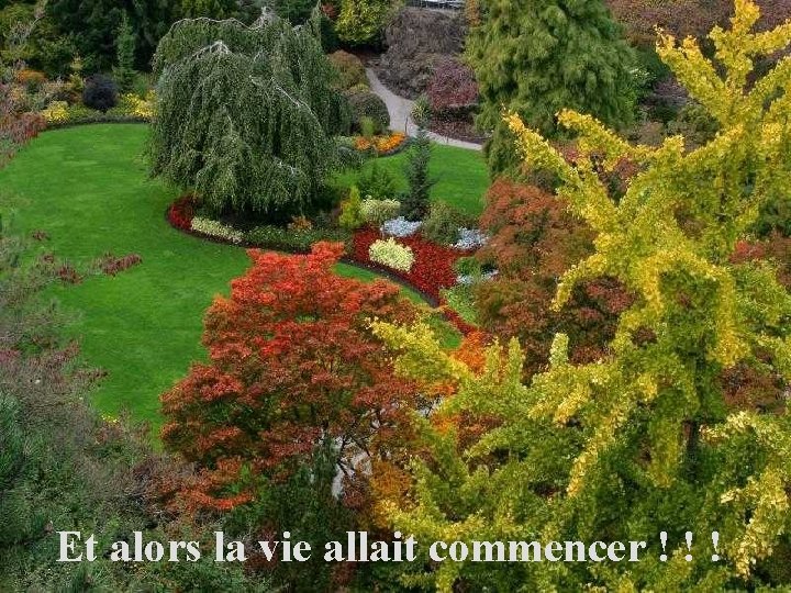Et alors la vie allait commencer ! ! ! 