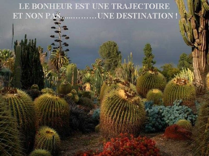 LE BONHEUR EST UNE TRAJECTOIRE ET NON PAS. . . ………UNE DESTINATION ! 