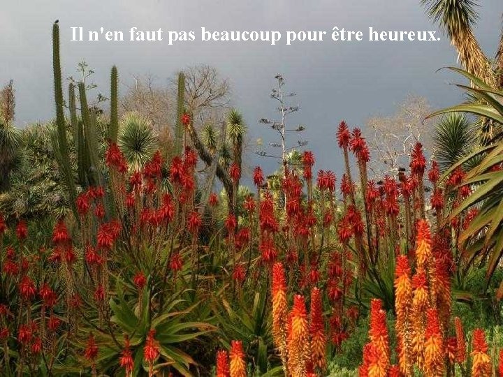 Il n'en faut pas beaucoup pour être heureux. 