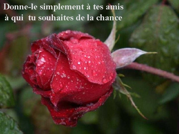 Donne-le simplement à tes amis à qui tu souhaites de la chance 