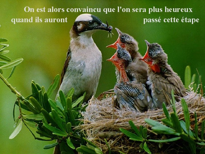  On est alors convaincu que l'on sera plus heureux quand ils auront passé
