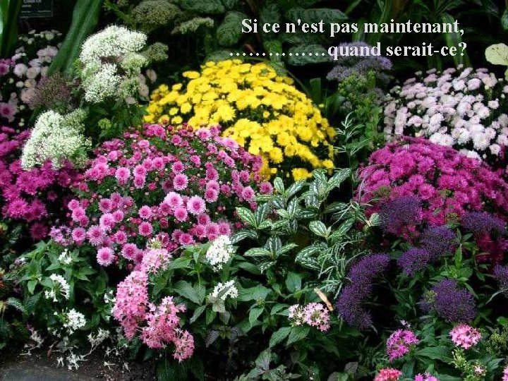 Si ce n'est pas maintenant, ……………quand serait-ce? 