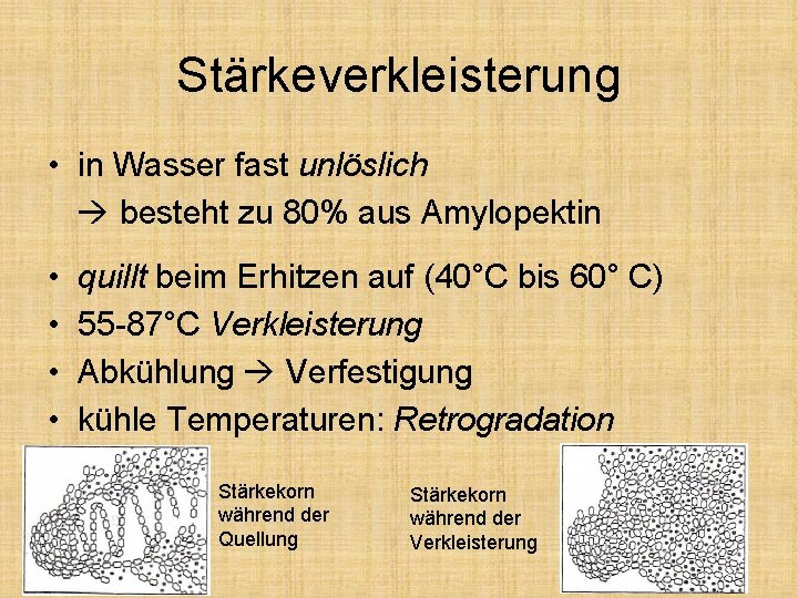 Stärkeverkleisterung • in Wasser fast unlöslich besteht zu 80% aus Amylopektin • • quillt