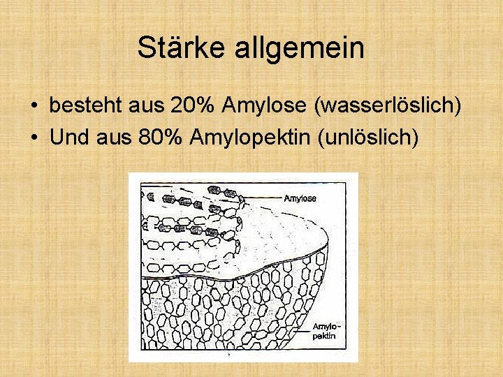 Stärke allgemein • besteht aus 20% Amylose (wasserlöslich) • Und aus 80% Amylopektin (unlöslich)