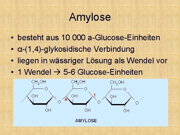 Amylose • • besteht aus 10 000 a-Glucose-Einheiten α-(1, 4)-glykosidische Verbindung liegen in wässriger