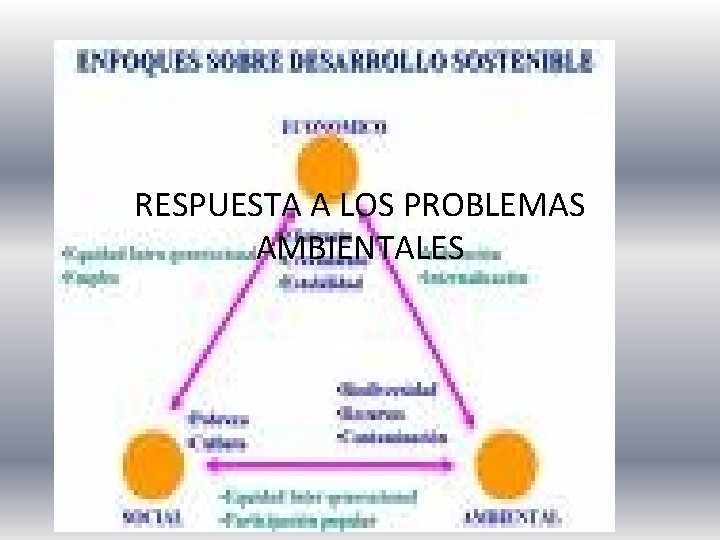 RESPUESTA A LOS PROBLEMAS AMBIENTALES 