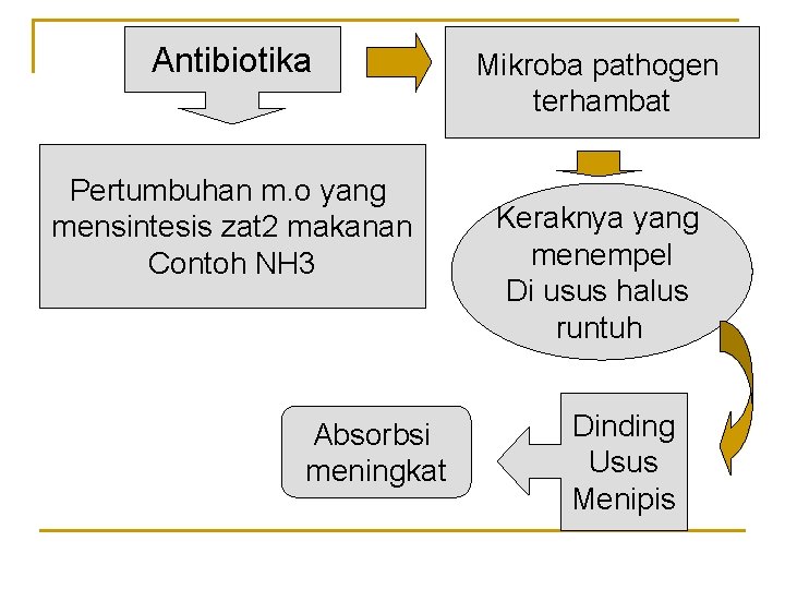 Antibiotika Pertumbuhan m. o yang mensintesis zat 2 makanan Contoh NH 3 Absorbsi meningkat