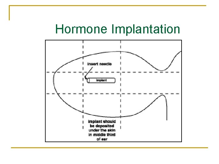 Hormone Implantation 
