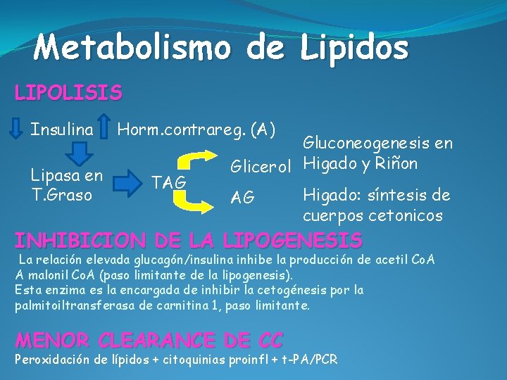 Metabolismo de Lipidos LIPOLISIS Insulina Lipasa en T. Graso Horm. contrareg. (A) TAG Gluconeogenesis