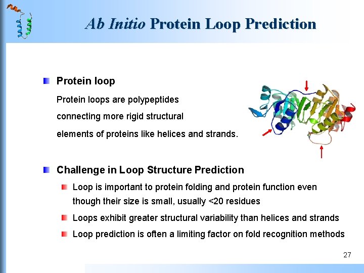Ab Initio Protein Loop Prediction Protein loops are polypeptides connecting more rigid structural elements Ab Initio Protein Loop Prediction Protein loops are polypeptides connecting more rigid structural elements