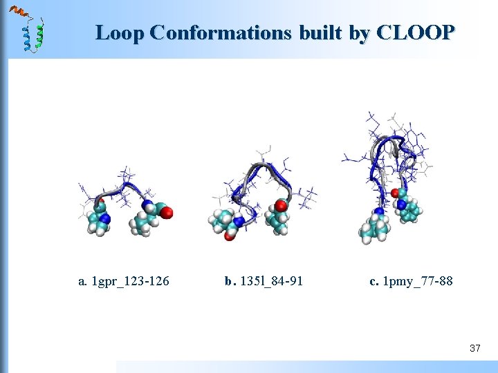 Loop Conformations built by CLOOP a. 1 gpr_123 -126 b. 135 l_84 -91 c. Loop Conformations built by CLOOP a. 1 gpr_123 -126 b. 135 l_84 -91 c.