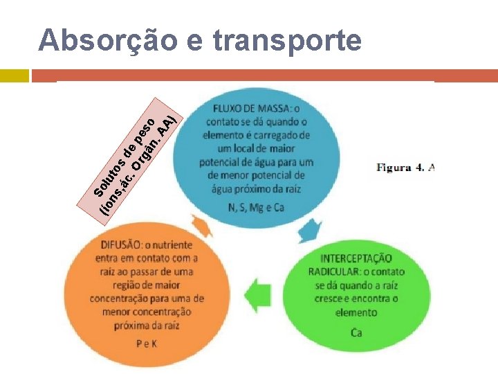 (ío Solu ns to , ác s d. O ep rg es ân o.