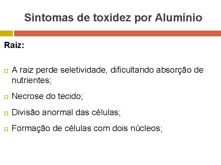 Sintomas de toxidez por Alumínio Raiz: A raiz perde seletividade, dificultando absorção de nutrientes;