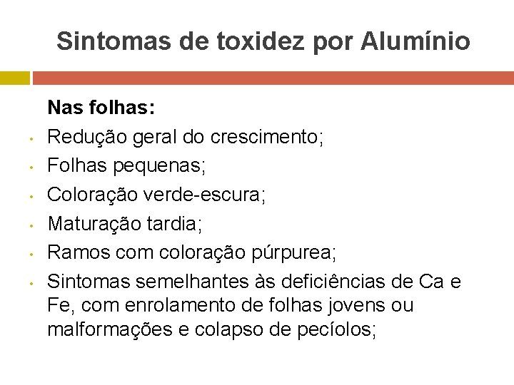 Sintomas de toxidez por Alumínio • • • Nas folhas: Redução geral do crescimento;