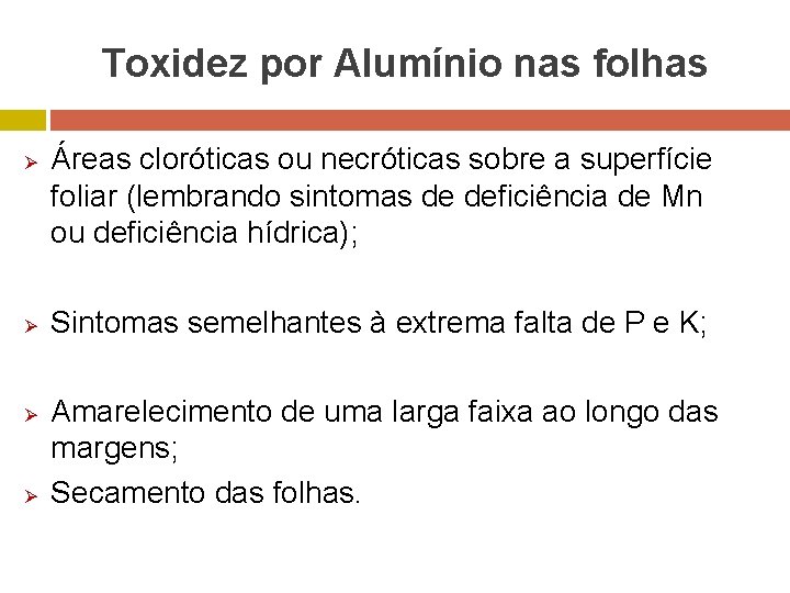 Toxidez por Alumínio nas folhas Ø Ø Áreas cloróticas ou necróticas sobre a superfície