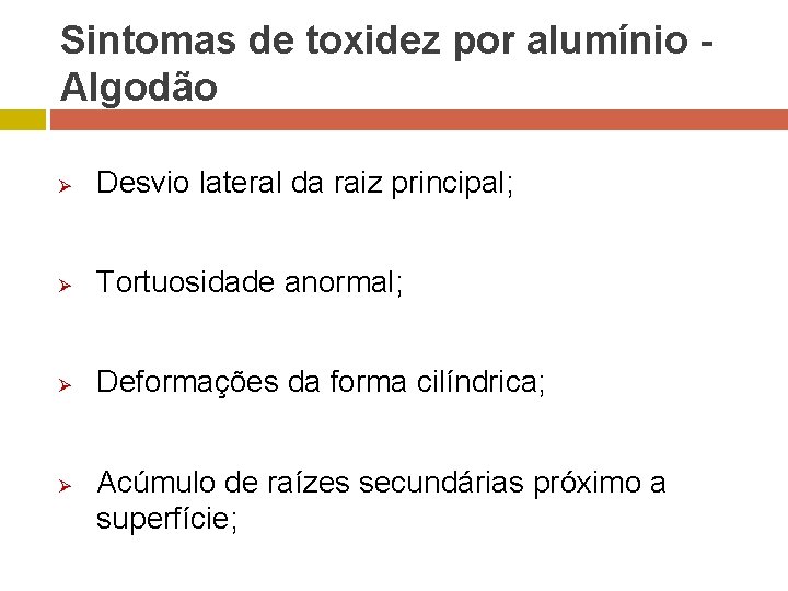 Sintomas de toxidez por alumínio Algodão Ø Desvio lateral da raiz principal; Ø Tortuosidade