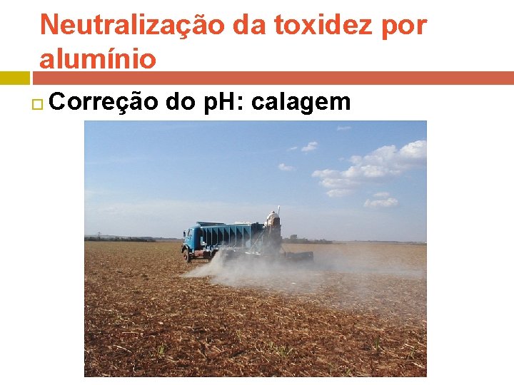 Neutralização da toxidez por alumínio Correção do p. H: calagem 