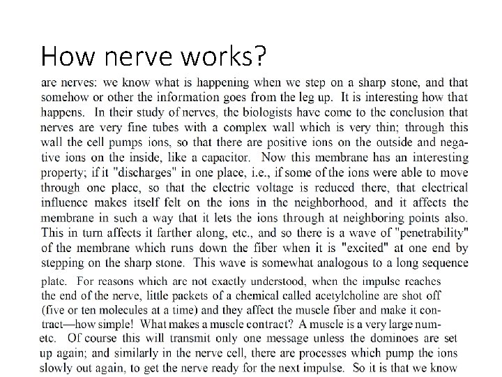How nerve works? 