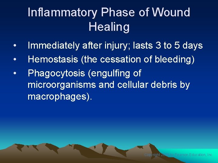 Inflammatory Phase of Wound Healing • • • Immediately after injury; lasts 3 to